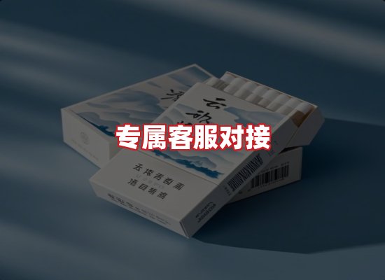 专业团队